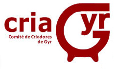 Cría GYR